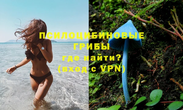 винт Алексин